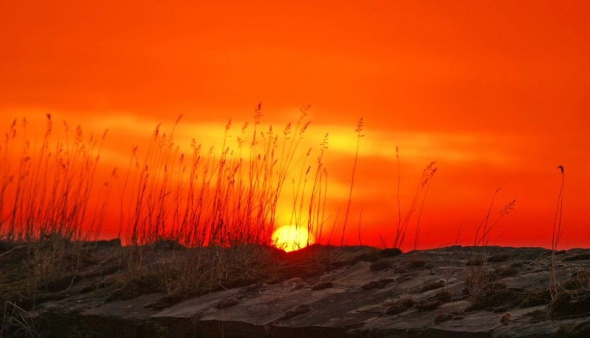 dawn