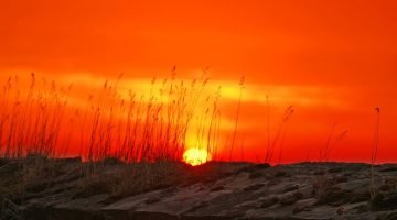 dawn