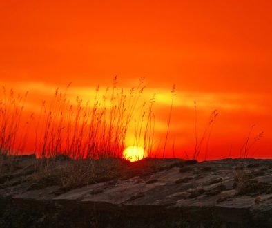dawn